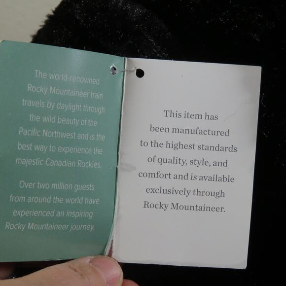 Exclusive Rocky Mountaineer Plush Bear Souvenir with Silver Fish Accessory - Picture 6 of 16